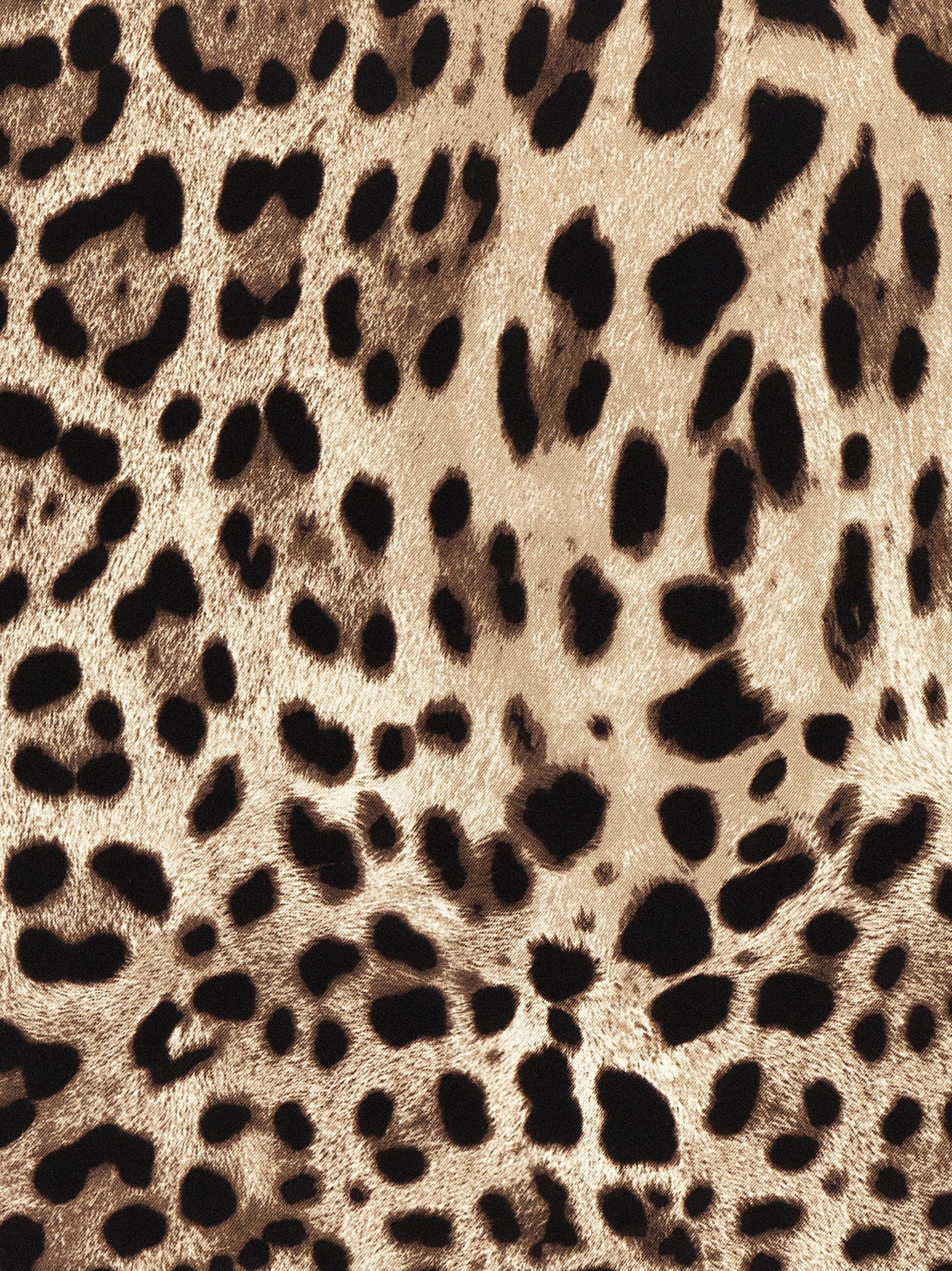Dolce & Gabbana Dolce & Gabbana Leopardo Scarf