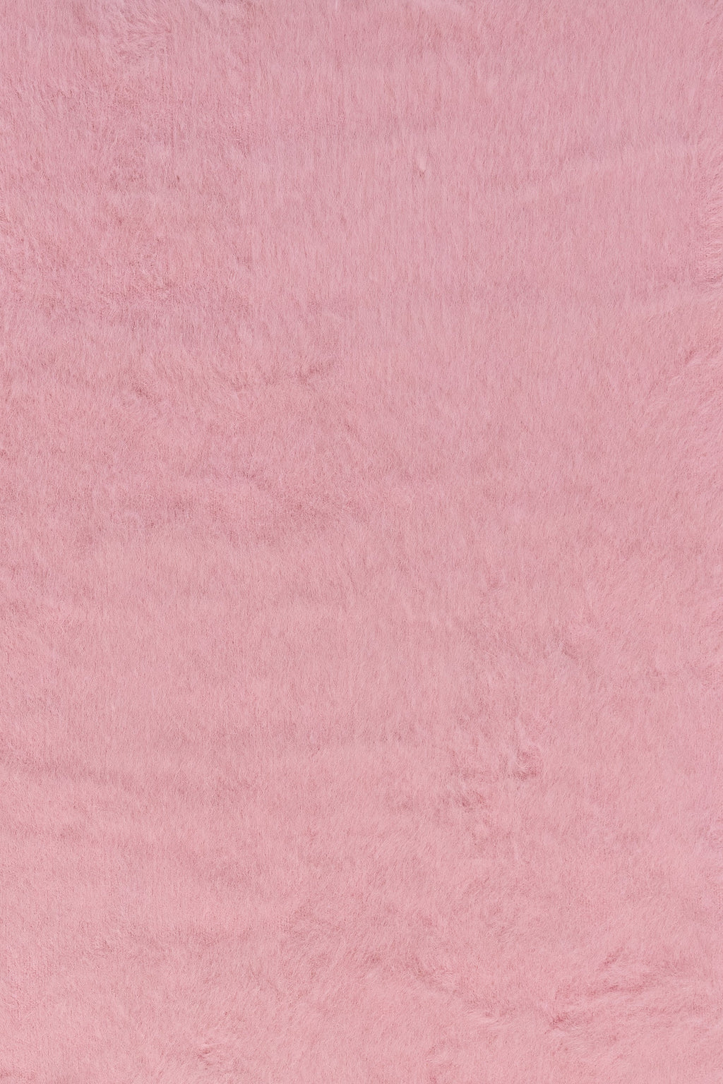 Wool Blanket