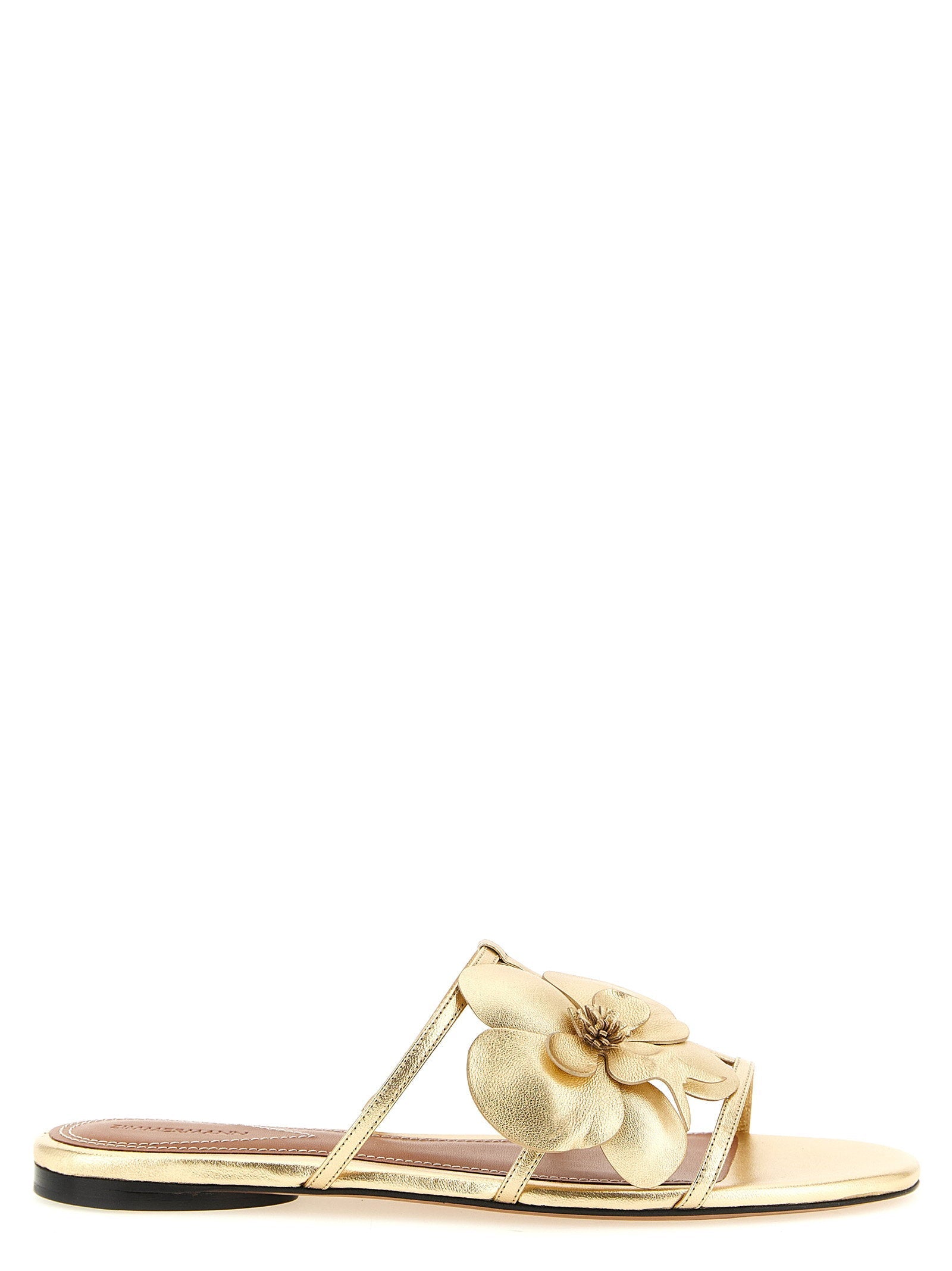 Zimmermann Zimmermann Orchid Slides