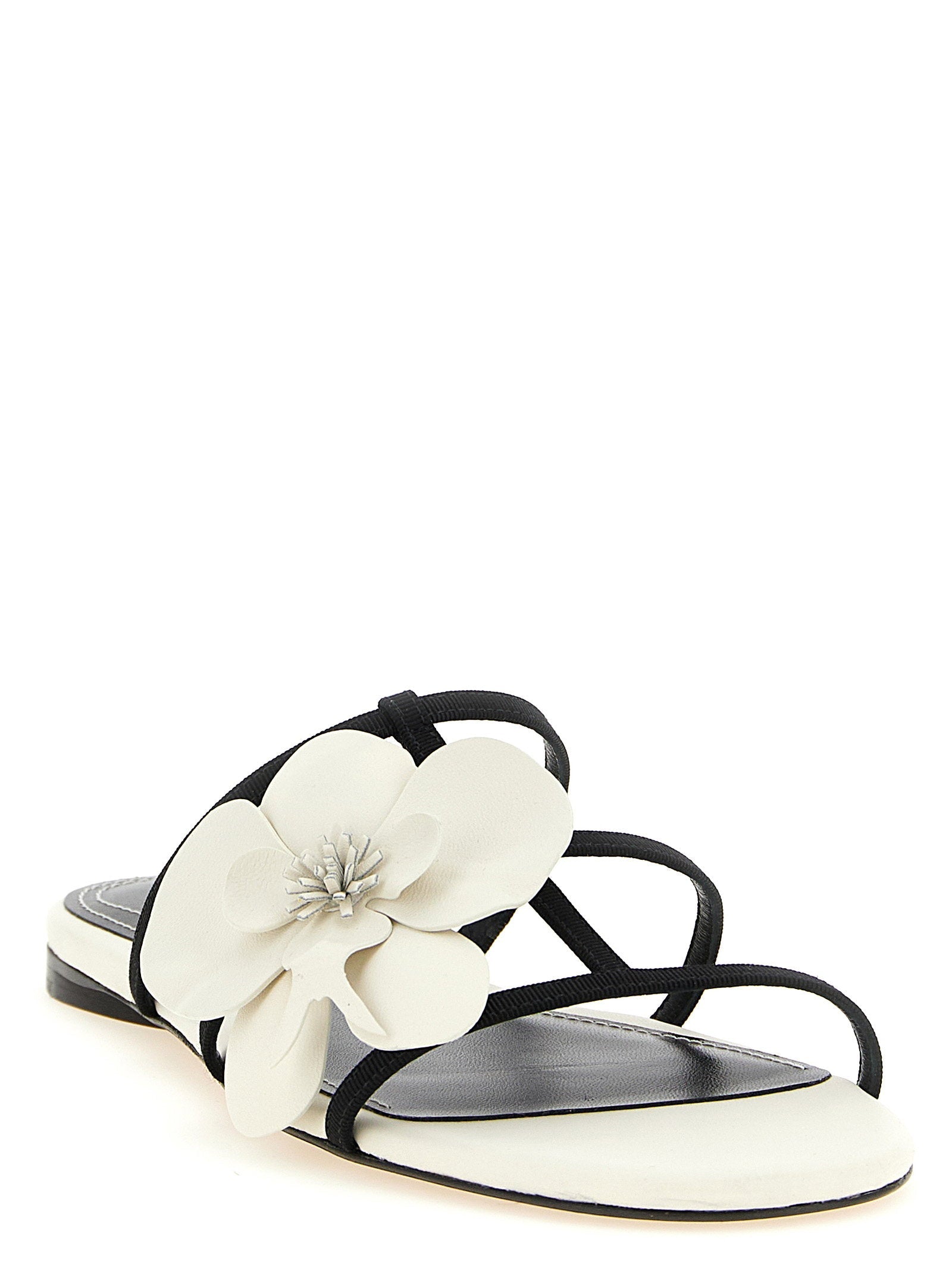 Zimmermann Zimmermann Orchid Slides