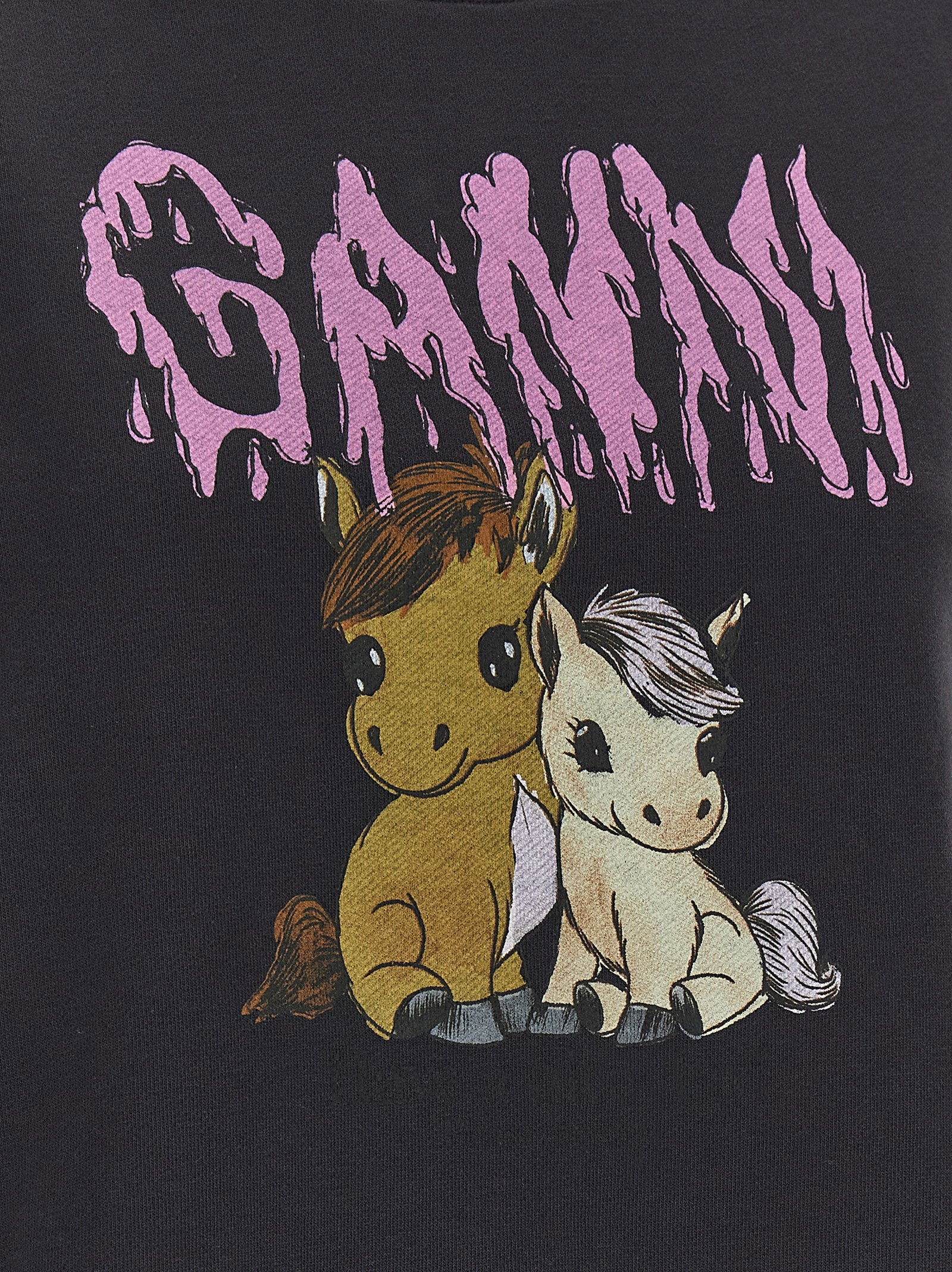 Ganni Ganni Isoli Sweatshirt
