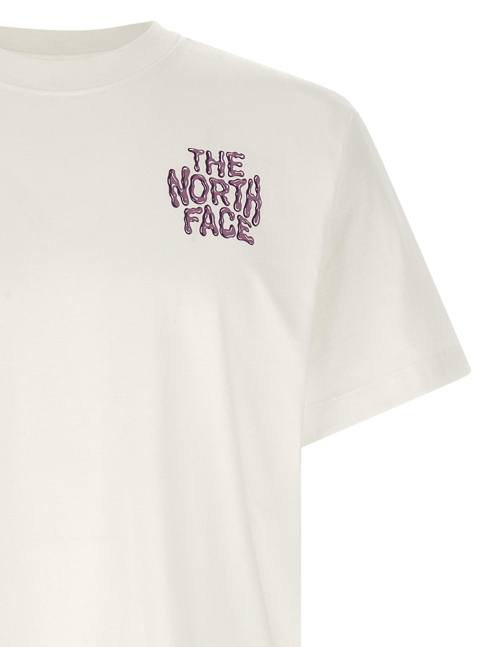 The North Face The North Face Drip Logo T-shirt
