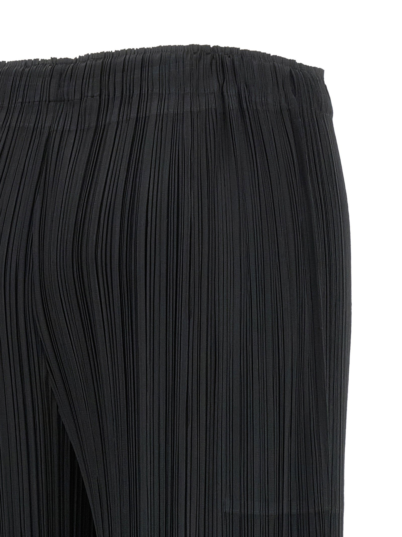 Pleats Please Issey Miyake Pleats Please Issey Miyake Monthly Colors: February Pants