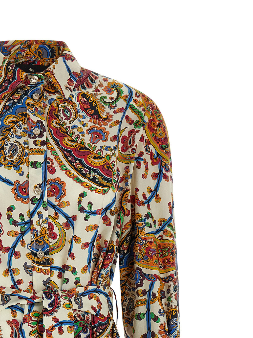 Etro Etro Paisley Foliage Dress